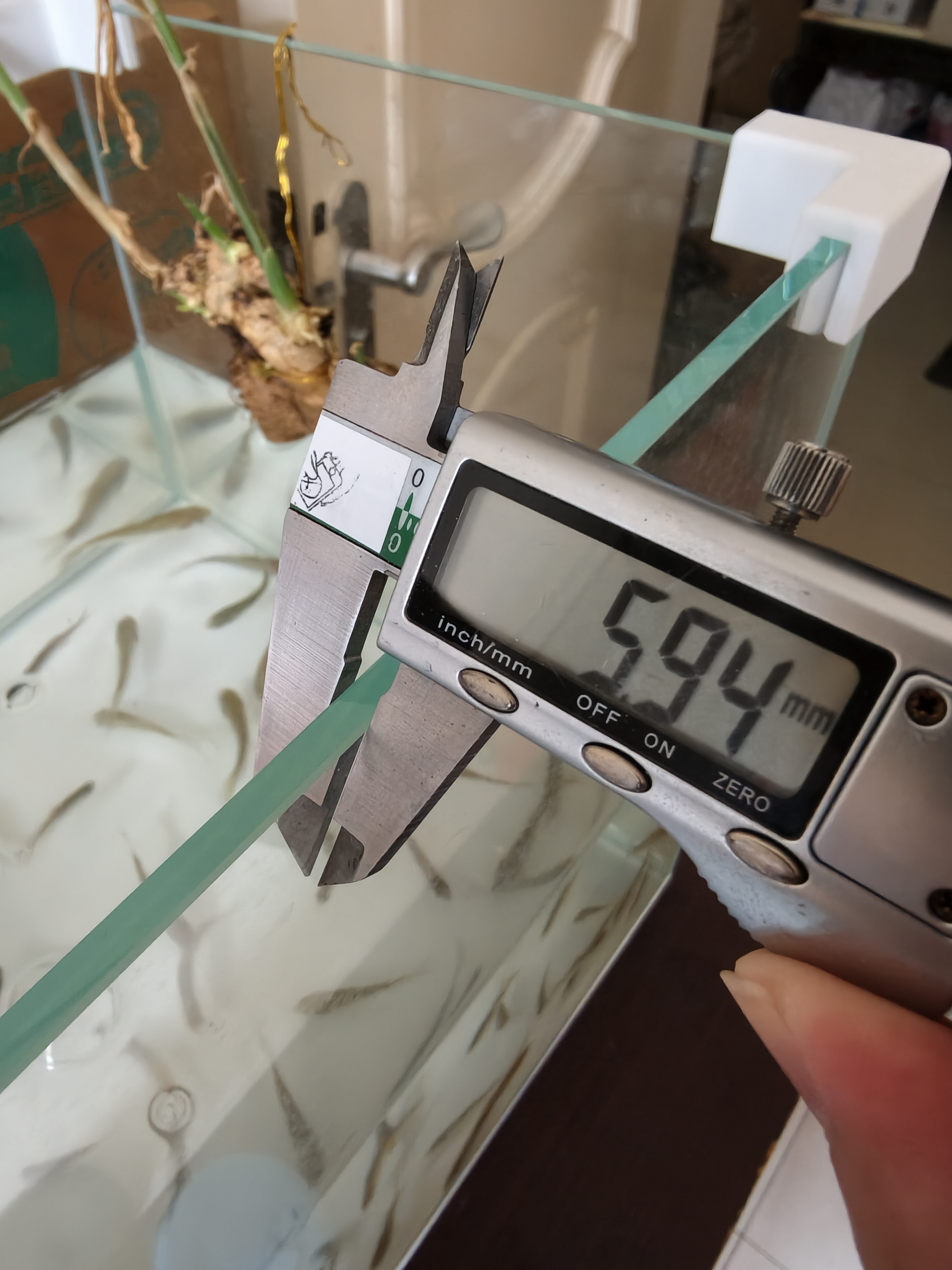 点击放大 图片